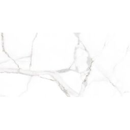 Picasa, Alsacia, PICASA ALSACIA GRES MAT REKTYFIKOWANY 60X120 