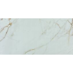 Picasa, Golden, PICASA GOLDEN WHITE MAT GRES REKTYFIKOWANY 60X120 