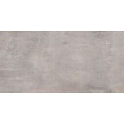 Picasa, Interno, PICASA INTERNO SILVER GRES REKTYFIKOWANY 60X120 