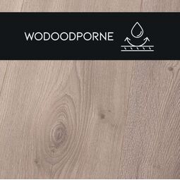 Premium Floor, Ampio, PREMIUM FLOOR DĄB GARDA 88016 PANEL LAMINOWANY 126.1X24.4X0.8 