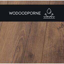 Premium Floor, Ampio, PREMIUM FLOOR DĄB PŁONĄCY 88195 PANEL LAMINOWANY 126.1X24.4X0.8 