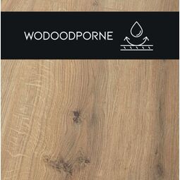 Premium Floor, Hydro 24, PREMIUM FLOOR DĄB PUSTYNNY 88139 PANEL LAMINOWANY 128.8X19X0.8 