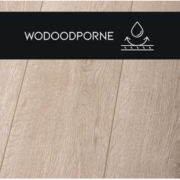 Premium Floor, Hydro 24, PREMIUM FLOOR DĄB SPOKOJNY 88237  PANEL LAMINOWANY 128.8X19X0.8 