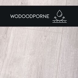 Premium Floor, Ultra, PREMIUM FLOOR DĄB BIAŁY 88743 PANEL LAMINOWANY 126.1X19.2X0.8 