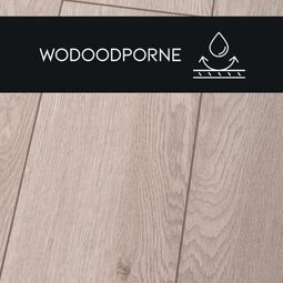 Premium Floor, Ultra, PREMIUM FLOOR DĄB BISZKOPTOWY 88929 PANEL LAMINOWANY 126.1X19.2X0.8 