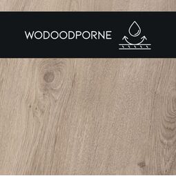 Premium Floor, Ultra, PREMIUM FLOOR DĄB NATURALNY 88853 PANEL LAMINOWANY 126.1X19.2X0.8 