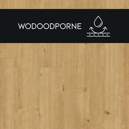 Premium Floor, Ultra +, PREMIUM FLOOR DĄB AUTENTYCZNY 88068 PANEL LAMINOWANY 126.1X19.2X0.8 