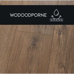 Premium Floor, Ultra +, PREMIUM FLOOR DĄB FRANCUSKI 87366 PANEL LAMINOWANY 126.1X19.2X0.8 