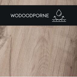 Premium Floor, Ultra +, PREMIUM FLOOR DĄB SĘKATY 88297 PANEL LAMINOWANY 126.1X19.2X0.8 