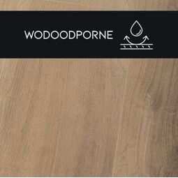 Premium Floor, Ultra +, PREMIUM FLOOR DĄB SŁOWIAŃSKI 88648 PANEL LAMINOWANY 126.1X19.2X0.8 