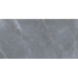 Proceramica, Armani, PROCERAMICA NATURAL ARMANI DARK GREY GRES POLER REKTYFIKOWANY 60X120 