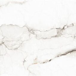 Proceramica, Fantastic, PROCERAMICA FANTASTIC ONE GRES POLER REKTYFIKOWANY 60X60 