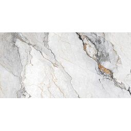 Proceramica, Snowflakes, PROCERAMICA SNOWFLAKES GRES CARVING REKTYFIKOWANY 60X120 