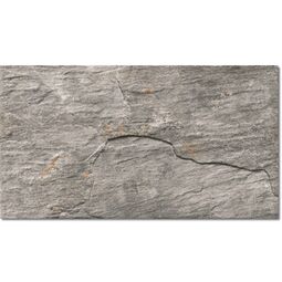 Realonda, Coda, REALONDA CODA GREY GRES 31X56 