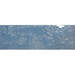 Realonda, Kamado, REALONDA KAMADO DENIM GLOSSY GRES 15X45 