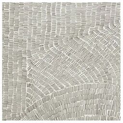 Refin, Fossil, REFIN FOSSIL BROWN GRES REKTYFIKOWANY 60X60 