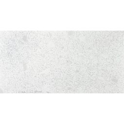 Sanchis, Trend, SANCHIS TREND NACAR GRES REKTYFIKOWANY 60X120 