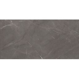 Stargres, Pietra, STARGRES PIETRA GREY GRES SATYNA REKTYFIKOWANY 59X118 
