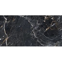 Stargres, Gravity, STARGRES GRAVITY POLER GRES REKTYFIKOWANY 60X120 