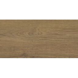 Stargres, Yosemite, STARGRES YOSEMITE BROWN GRES 30X60 