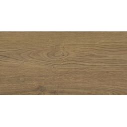 Stargres, Yosemite, STARGRES YOSEMITE BROWN GRES REKTYFIKOWANY 30X60 