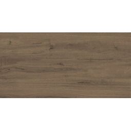 Stargres, Suomi Star 2.0, STARGRES SUOMI BROWN GRES REKTYFIKOWANY 60X120X2 