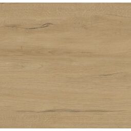 Stargres, Suomi, STARGRES SUOMI CREAM GRES REKTYFIKOWANY 60X60X2 