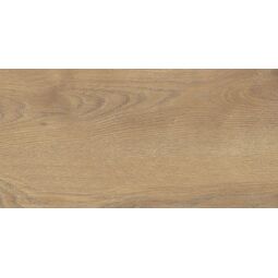 Stargres, Taiga, STARGRES TAIGA HONEY GRES 30X60 