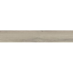 Stargres, Taiga, STARGRES TAIGA GREY GRES REKTYFIKOWANY 30X120 