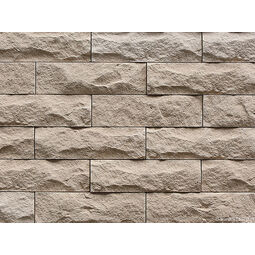 Stegu, Amsterdam, STEGU AMSTERDAM 1 KAMIEŃ ELEWACYJNY 7.6X26 