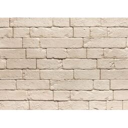 Stegu, Brickal, STEGU BRICKAL 1 PŁYTKA CEGŁOPODOBNA 12.4X36 