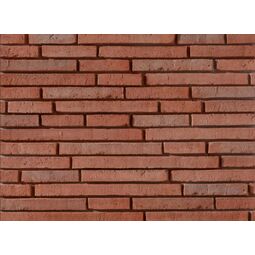 Stegu, Bronx, STEGU BRONX RED Z FUGĄ KAMIEŃ ELEWACYJNY 