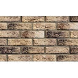 Stegu, Cambridge, STEGU CAMBRIDGE 10 PŁYTKA CEGŁOPODOBNA 6.3X20.8 
