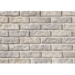 Stegu, Cambridge, STEGU CAMBRIDGE 1 PŁYTKA CEGŁOPODOBNA 6.3X20.8 