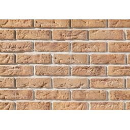 Stegu, Cambridge, STEGU CAMBRIDGE 3 PŁYTKA CEGŁOPODOBNA 6.3X20.8 