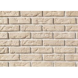 Stegu, Cambridge, STEGU CAMBRIDGE 9 PŁYTKA CEGŁOPODOBNA 6.3X20.8 