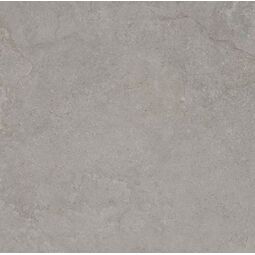Tau, Concept- Tau, TAU TU.DORSET SLVER GRES REKTYFIKOWANY 100X100X2 