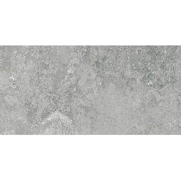 Tiles Ceramic, Albira, TILES CERAMIC ALBIRA GREY CARVING 60X120 (01929) 