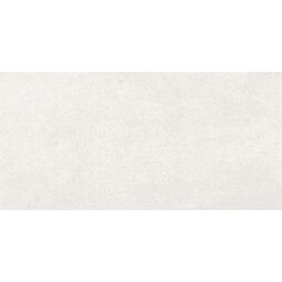 Tiles Ceramic, Andra, TILES CERAMIC ANDRA LIGHT GREY MATT 60X120 (01991) 