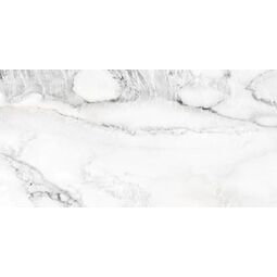 Tiles Ceramic, Ice, TILES CERAMIC ICE GREY GLOSSY 60X120 (02033) 