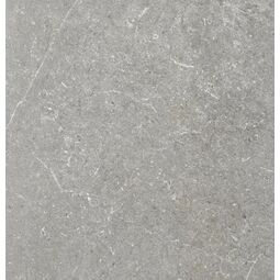 Tiles Ceramic, Limone, TILES CERAMIC LIMONE TAUPE MATT 60X60X2 (70216) 