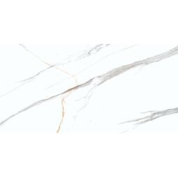 Tiles Ceramic, Marble, TILES CERAMIC MARBLE ALBATROS CARVING 60X120 (01636) 