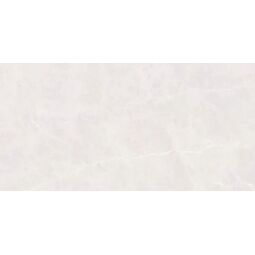 Tiles Ceramic, Swim, TILES CERAMIC SWIM BIANCO CARVING 60X120 (58057) 