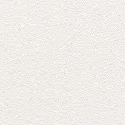 Tubądzin, Pastel, TUBĄDZIN MONO BIAŁE R10 GRES 20X20 