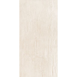 Tubądzin, Terraform, TUBĄDZIN TERRAFORM STR PŁYTKA ŚCIENNA 29.8X59.8 