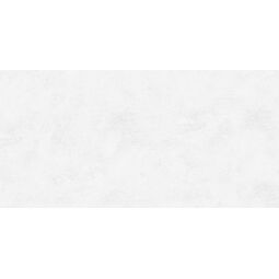 Tubądzin, Echo Tivoli, TUBĄDZIN ECHO BRUSH SILVER STR PŁYTKA ŚCIENNA 59.8X119.8 