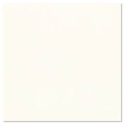 Vives, Alameda, VIVES ALAMEDA-R NACAR GRES REKTYFIKOWANY 20X20 