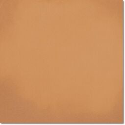 Vives, Barnet, VIVES BARNET NATURAL PŁYTKA PODŁOGOWA 31.6X31.6 