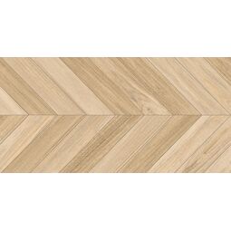 Vives, Belice, VIVES AGADIR-R NATURAL GRES REKTYFIKOWANY 60X120 