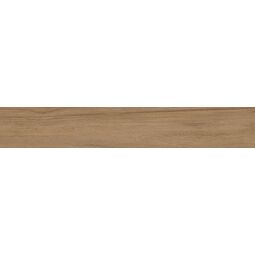 Vives, Belice, VIVES BELICE-R NATURAL GRES REKTYFIKOWANY 19.4X120 